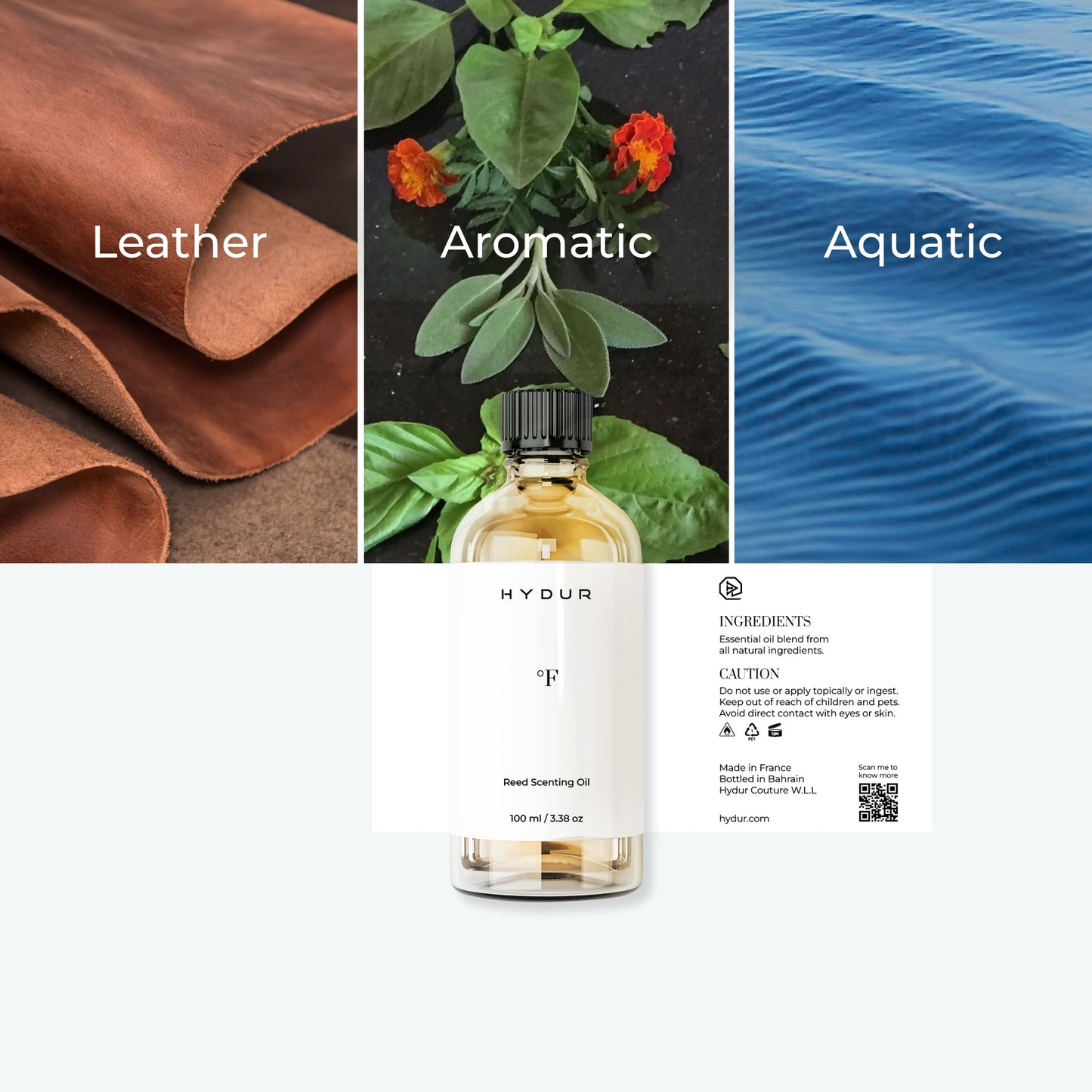 °F with 6 Reed Sticks