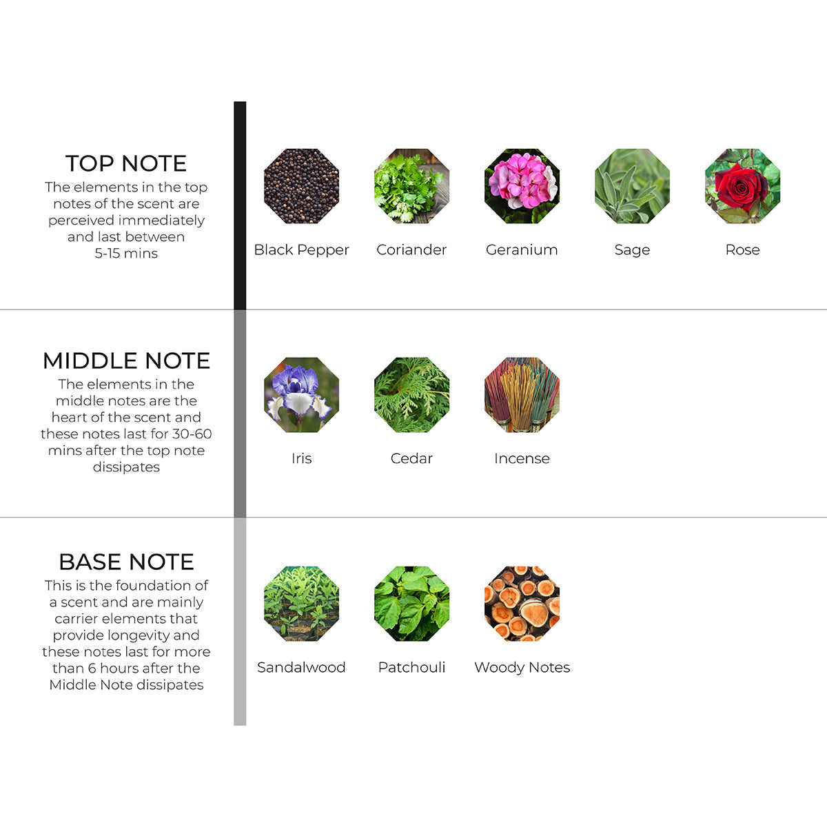 Sandalwood & Patchouli Scenting Oil