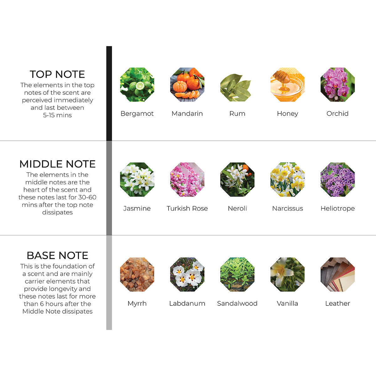 Black Orchid Scenting Oil