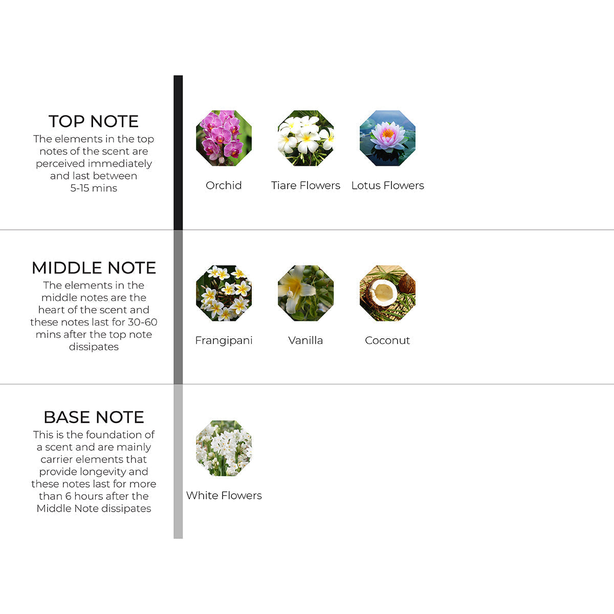 Frangipani & Vanilla Scenting Oil