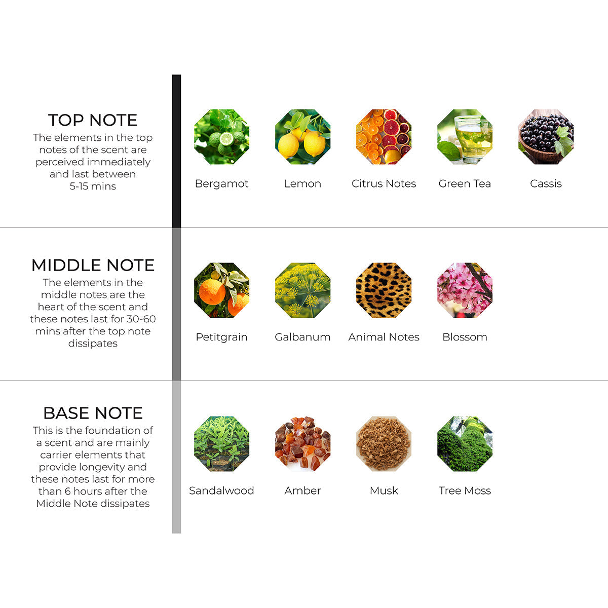 Seamount Scenting Oil