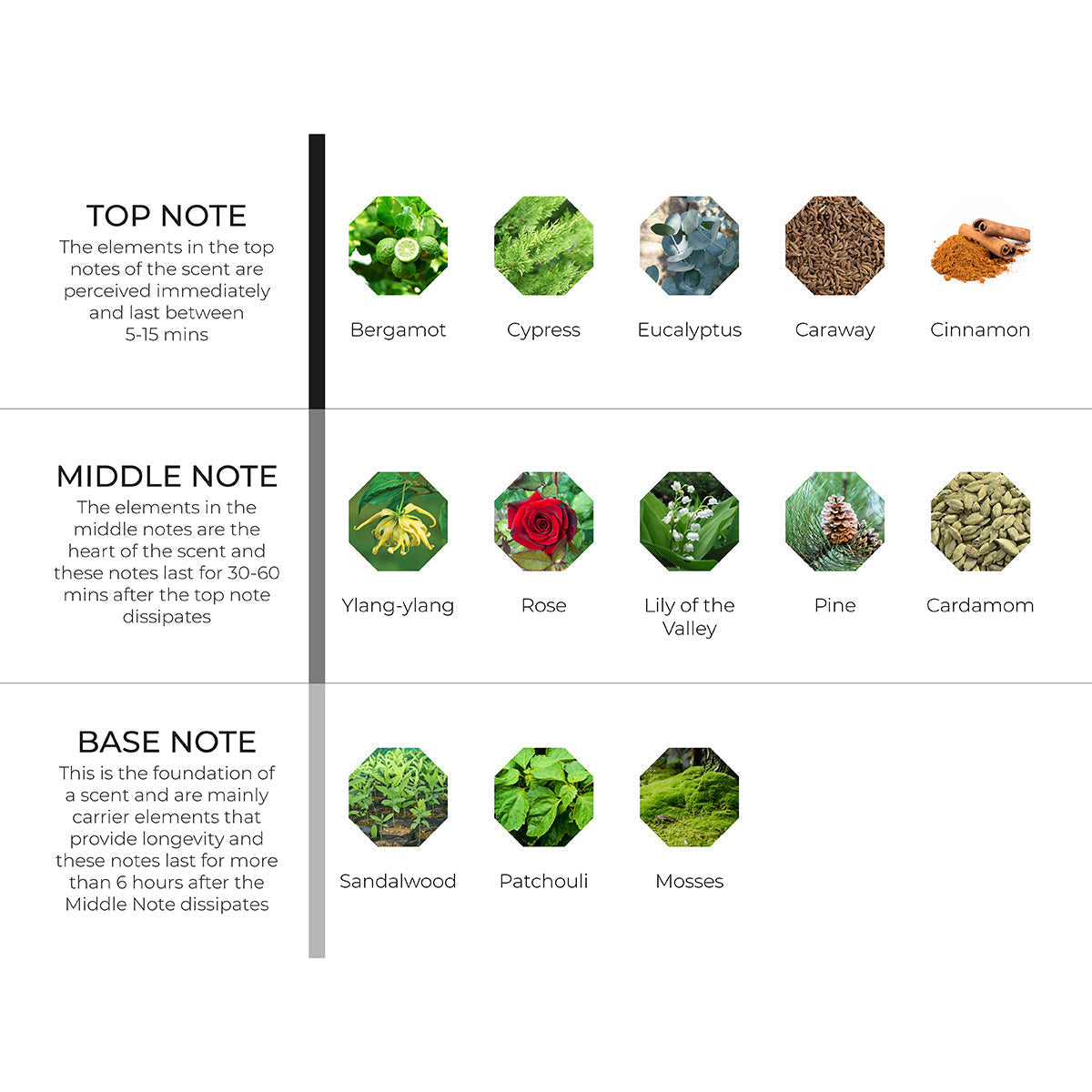 Xmas Spice Scenting Oil