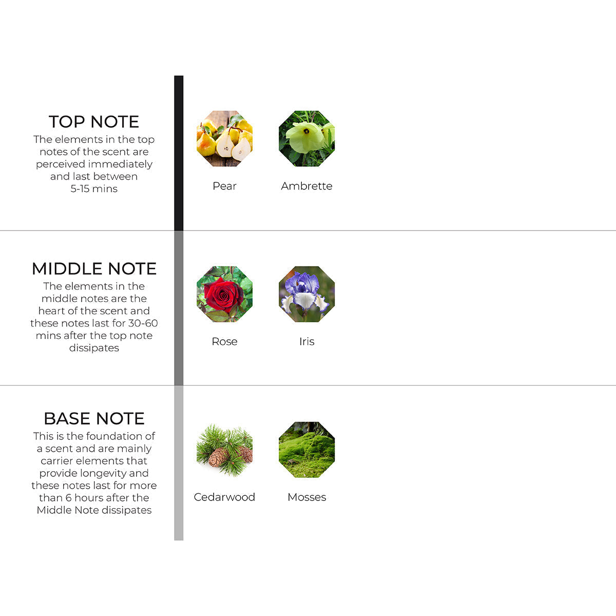 Cedarwood & Iris Scenting Oil