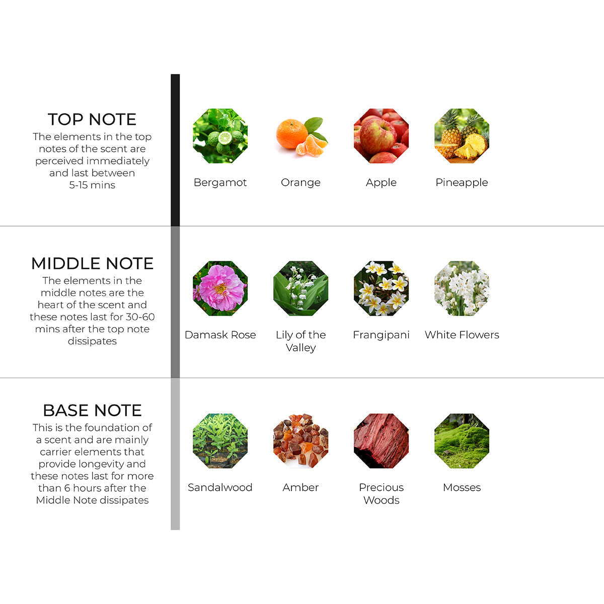 Damask Rose & Amber Scenting Oil