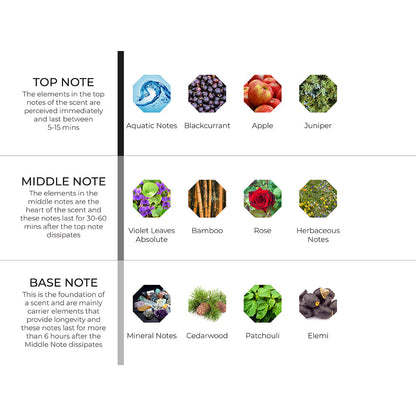 Bamboo & Stone Scenting Oil