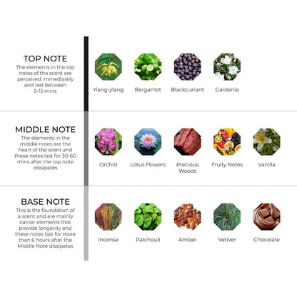 Dark Orchid Scenting Oil