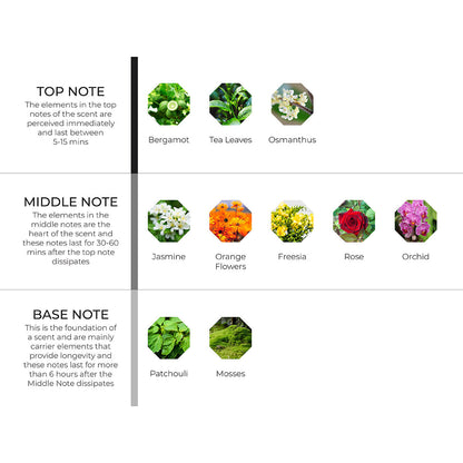 Floralbomb Scenting Oil